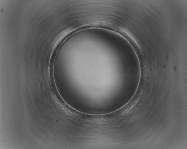 X0000073900932200608180955