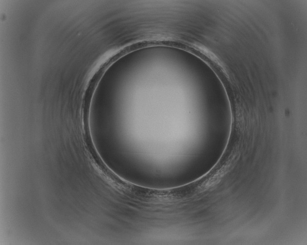 X0000073900935200608180955