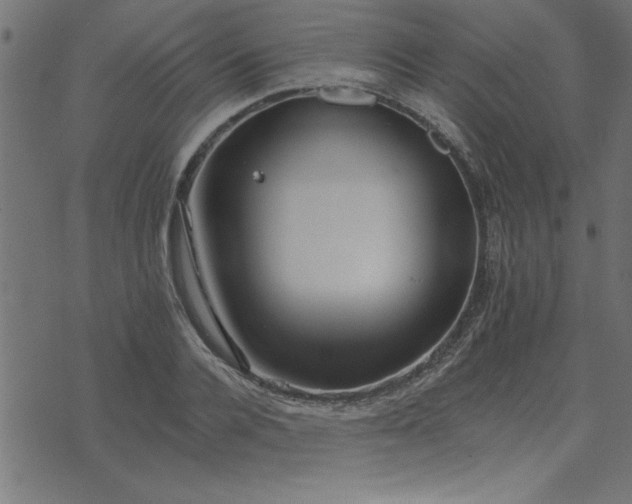 X0000073900936200608180955