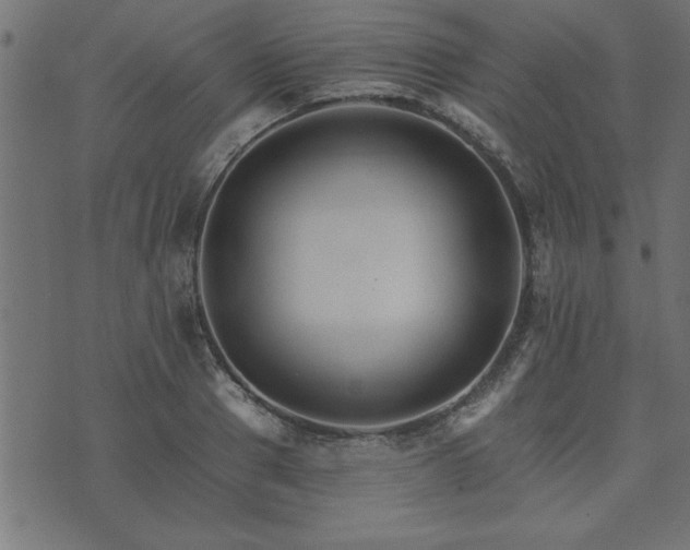 X0000073900937200608180955