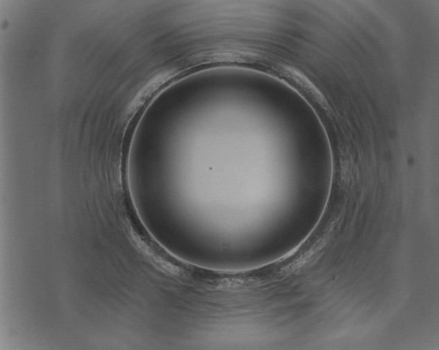 X0000073900938200608180955