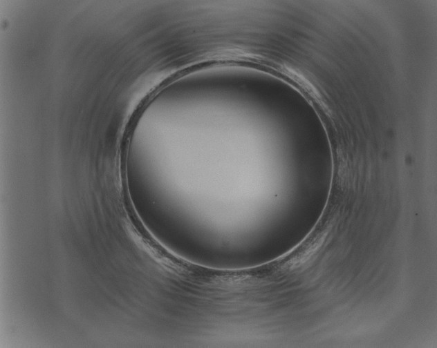 X0000073900939200608180955