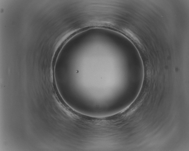 X0000073900940200608180955