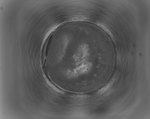 X0000073900941200608180955