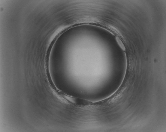 X0000073900942200608180955