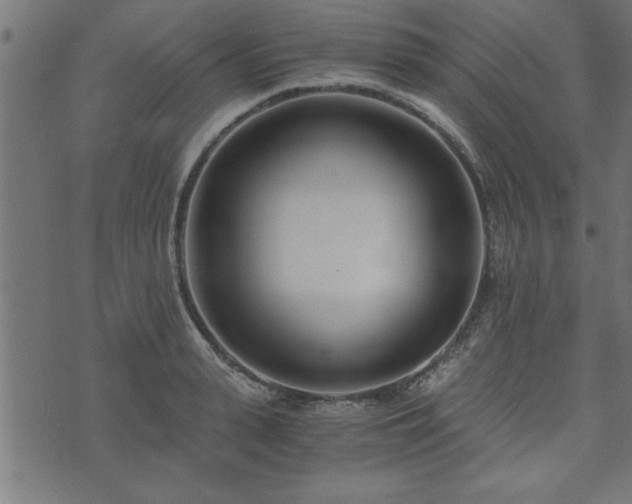 X0000073900943200608180955