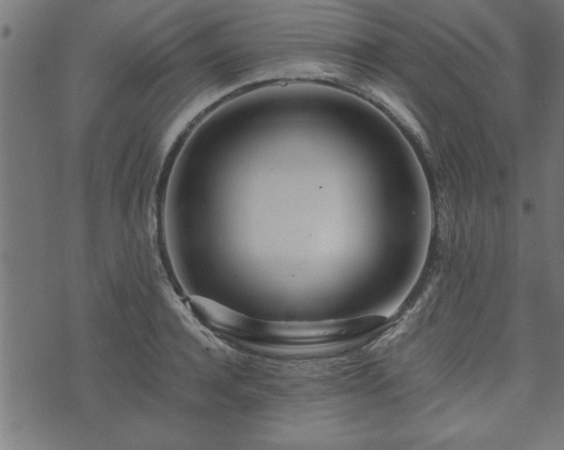 X0000073900944200608180955