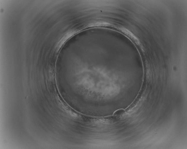 X0000073900945200608180955