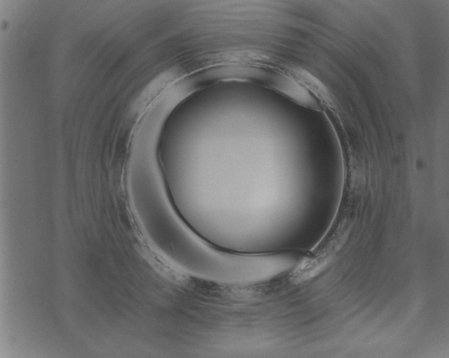 X0000073900946200608180955