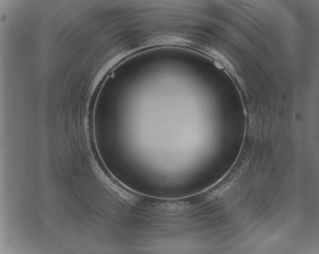 X0000073900947200608180955