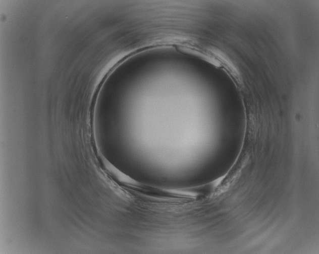 X0000073900948200608180955