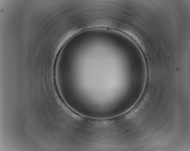 X0000073900949200608180955