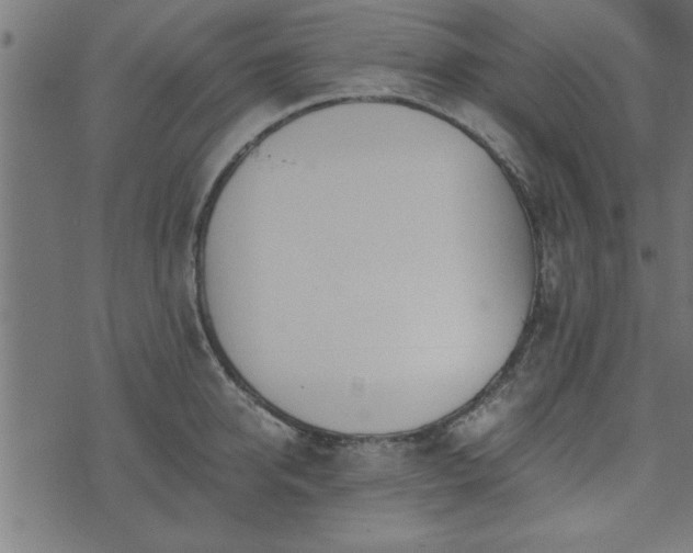 X0000073900950200608180955