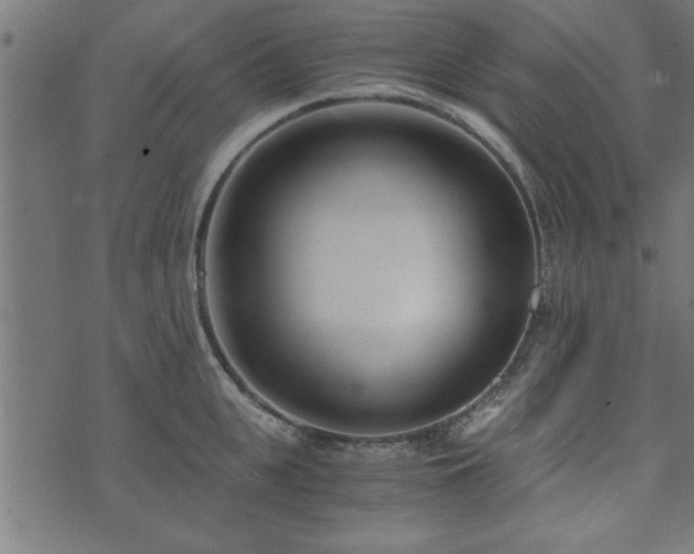 X0000073900951200608180955