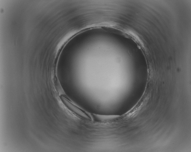 X0000073900952200608180955