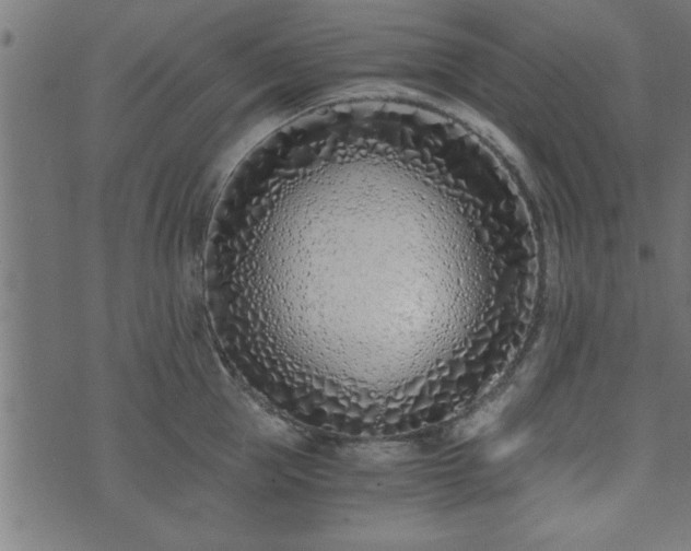 X0000073900953200608180955