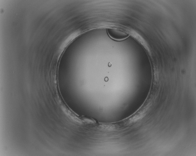 X0000073900954200608180955