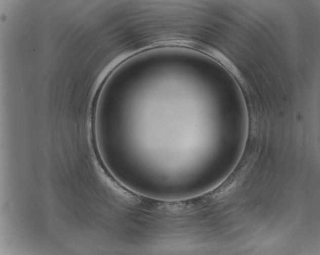 X0000073900955200608180955