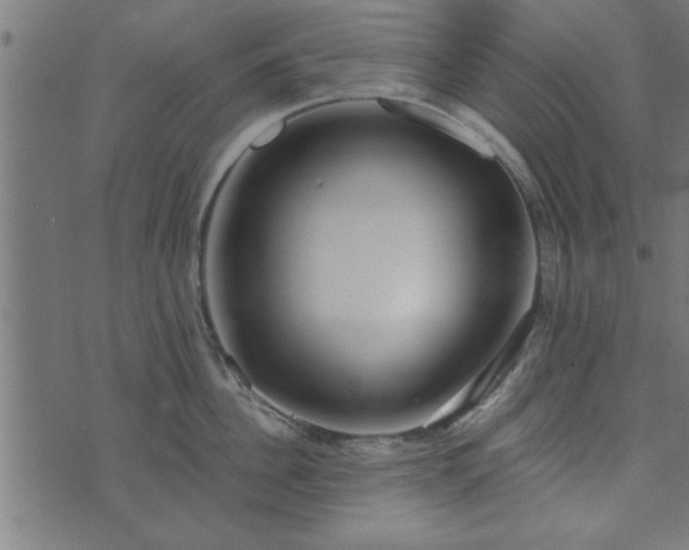 X0000073900956200608180955