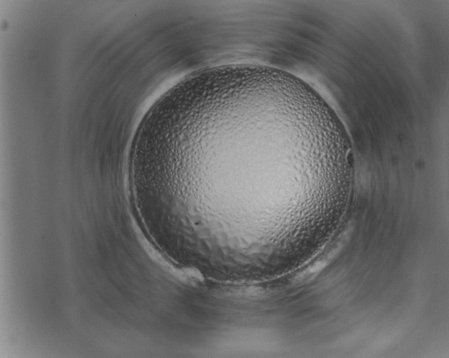 X0000073900957200608180955