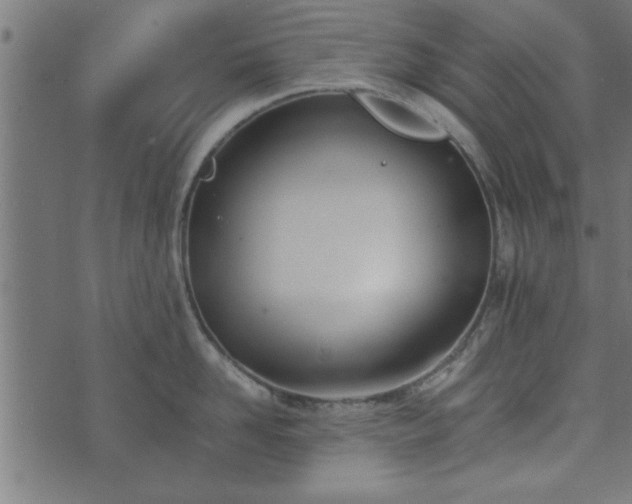 X0000073900958200608180955