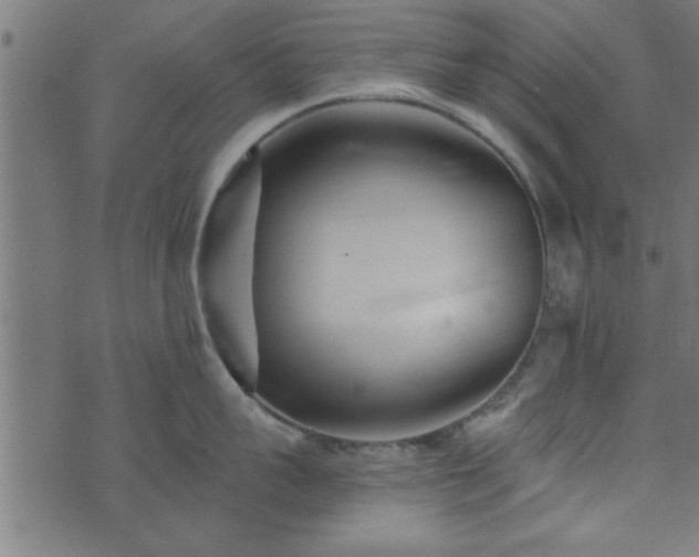 X0000073900959200608180955