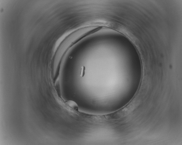 X0000073900960200608180955