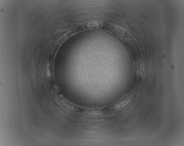 X0000073900962200608180955