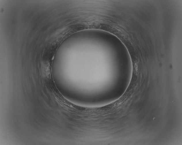 X0000073900963200608180955