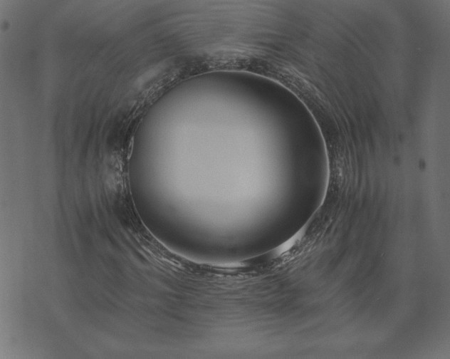 X0000073900964200608180955