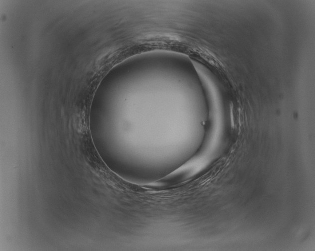 X0000073900965200608180955