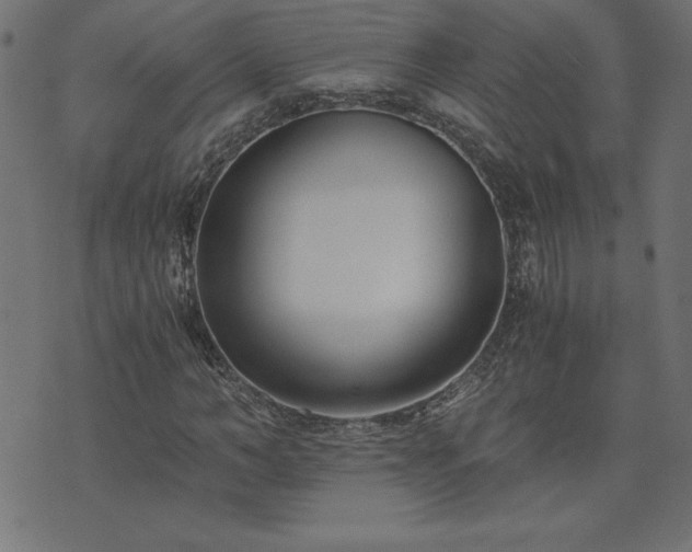 X0000073900966200608180955