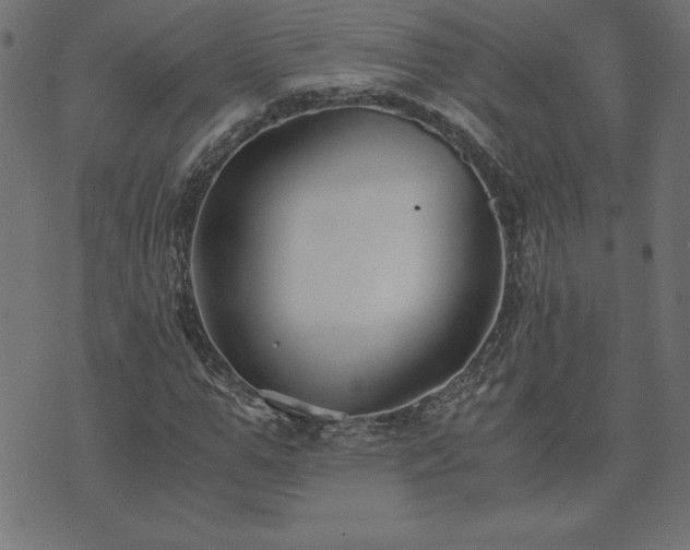 X0000073900967200608180955