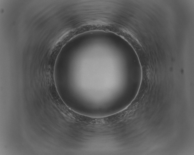 X0000073900968200608180954