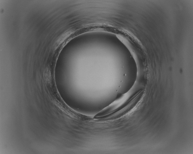 X0000073900969200608180954