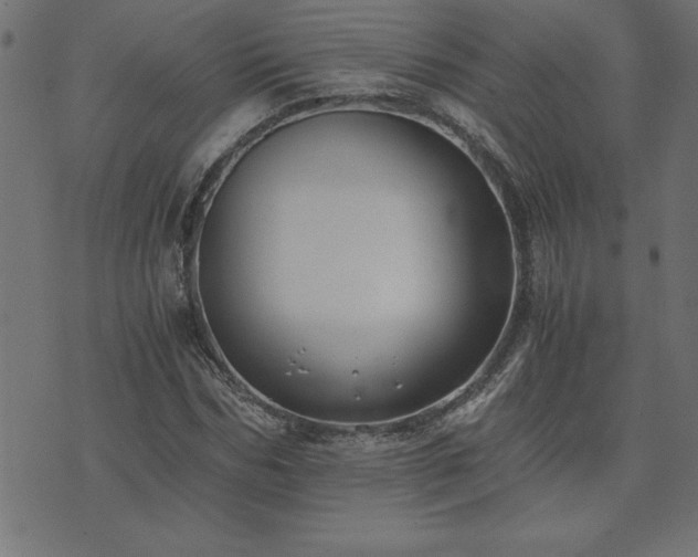 X0000073900970200608180954