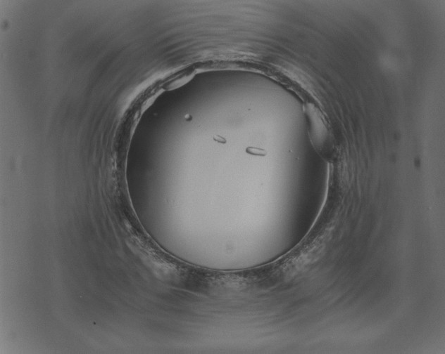 X0000073900971200608180954