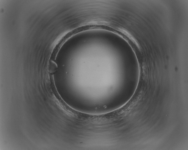 X0000073900972200608180954