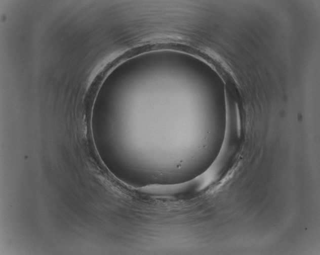 X0000073900973200608180954