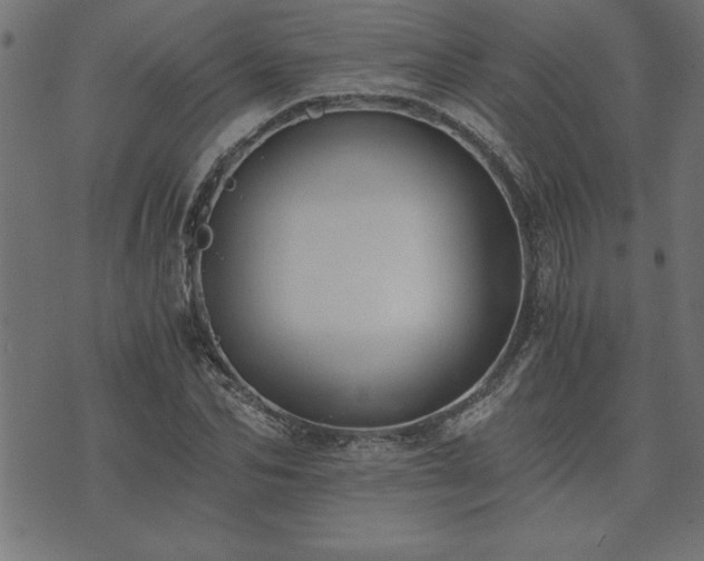 X0000073900974200608180954