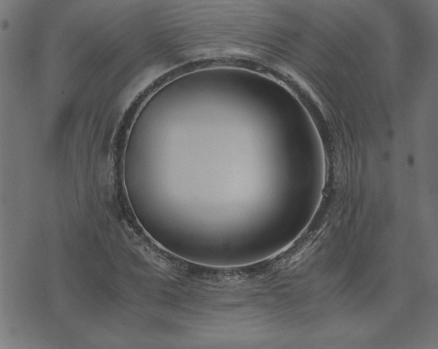 X0000073900975200608180954