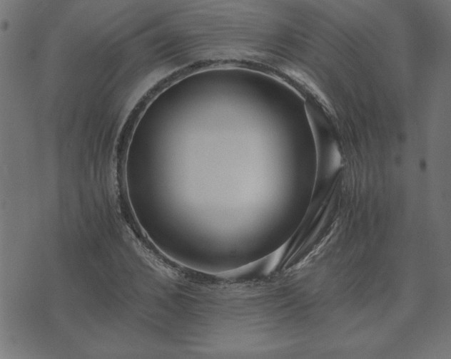 X0000073900976200608180954