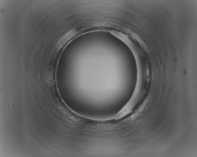 X0000073900977200608180954