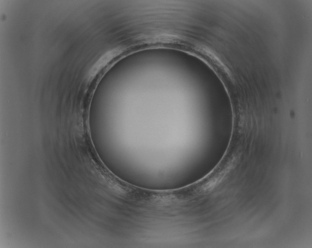 X0000073900978200608180954