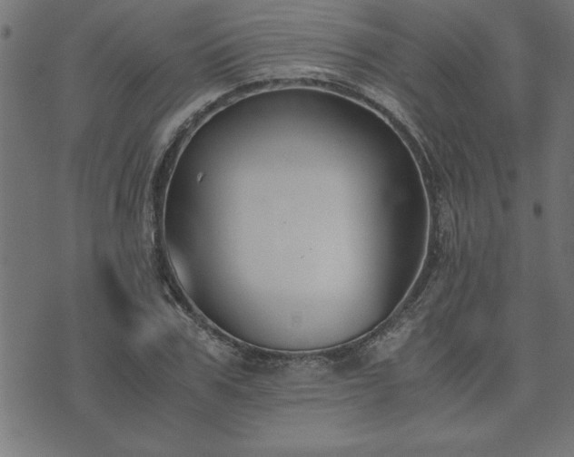 X0000073900979200608180954