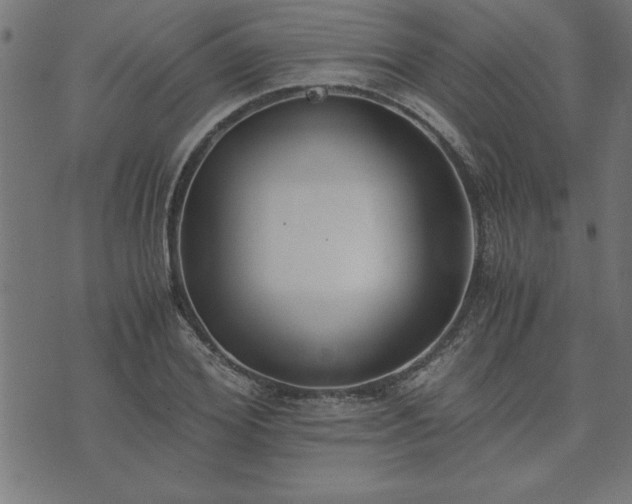 X0000073900980200608180954