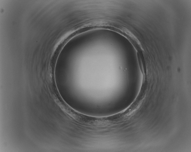 X0000073900981200608180954