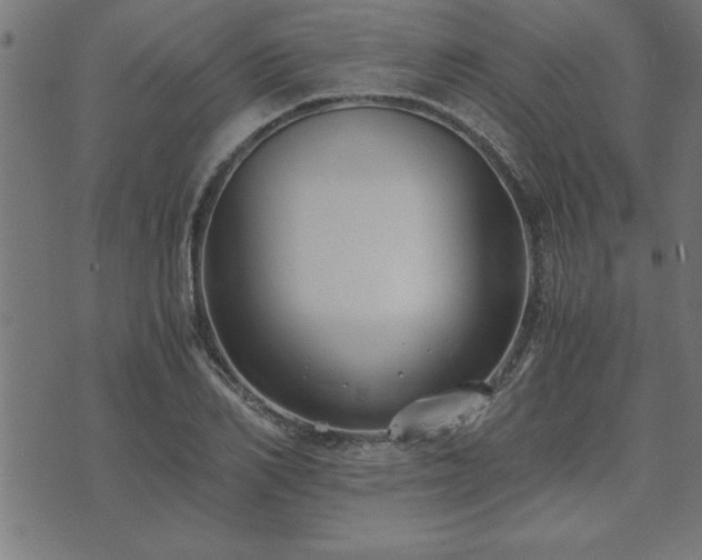 X0000073900982200608180954