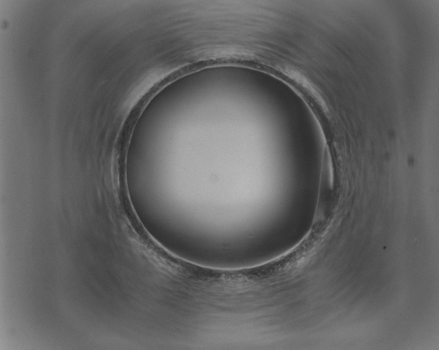 X0000073900983200608180954