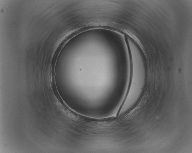 X0000073900984200608180954